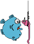 [Fish]