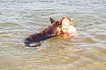 me & pup in the swim.jpg